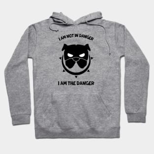 i am not in danger i am the danger Hoodie